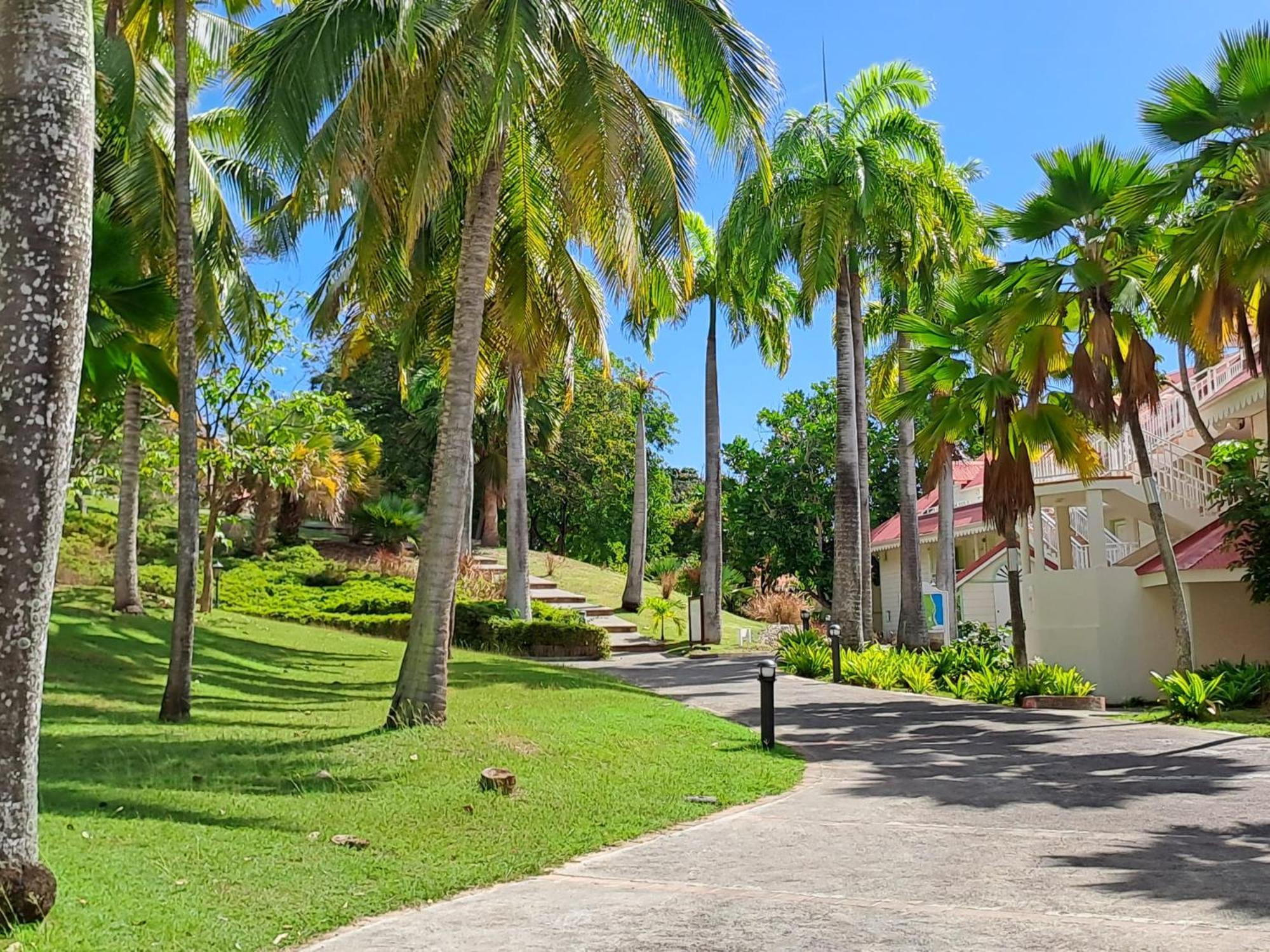 Grand Studio Vue Mer Exceptionnelle, Piscines, Plages. Sainte-Anne  Exterior foto